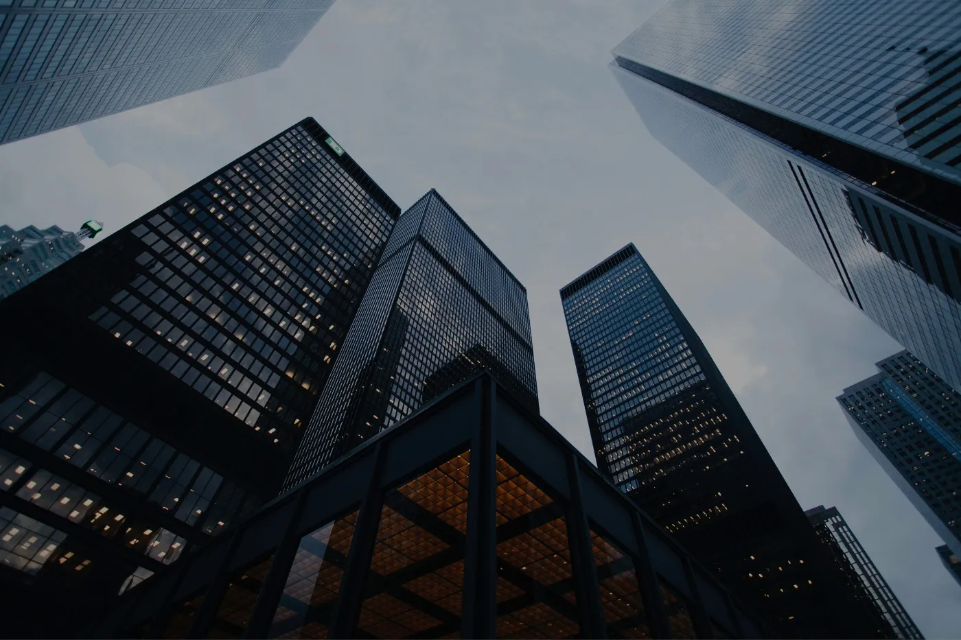Algo Trading Services